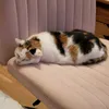 pillowfortenginee