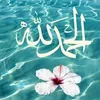 zainabhassan6313