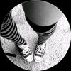 polly.p_kt