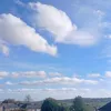 bonchilla5