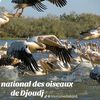 diop.fa4