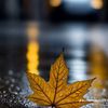 muhammadhuseen63