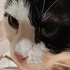 pinkyandthethumb