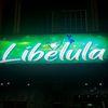 LibelulaBar2 NewGrant