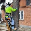 arborist.ua0