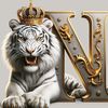 prince.n.r