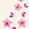 nancy_23342