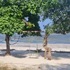 kilifi_7