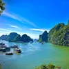 halo_indonesia_