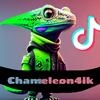 chameleon4ik4