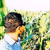 alex.alexander.al4