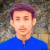 hamzabhatti3136