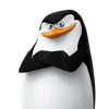 skipper_dx
