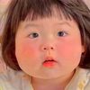 ling.km0