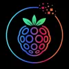 raspberrybr