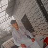 sami.ullah8244