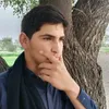 baghimuhib