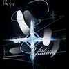 t_lvn305