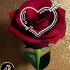 abia.ali75