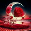 sadiya.aktar.mim772