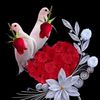 anika.akther953