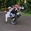 tgk.stunt_24
