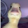 pikachuandreea