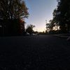 dayanna8244