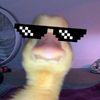 tota_totally_good