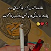 malik.adil512