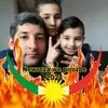 shahin.sherwan4