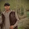 fardin3971
