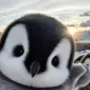 itsmeeljay8
