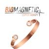 biomagnetic