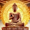 hivong8936