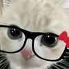 user8271668142439