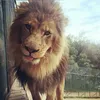 izathetreehugger