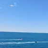 ju._044