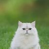halima.halima7502