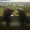 melempang.biawak