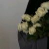 tulisandian._