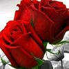 user3613701428033