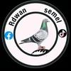 شامخ