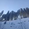 user1777031070940