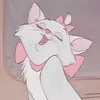 maeve.beri