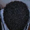 qumbohoole5