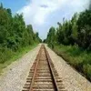 itsns.siddique