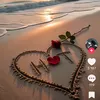 gshhy77