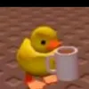 fynninatoreligator