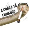 loucoporcaminhões